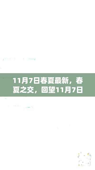 第393页