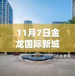 11月7日金龙国际新城独家揭秘,最新动态与惊喜连连