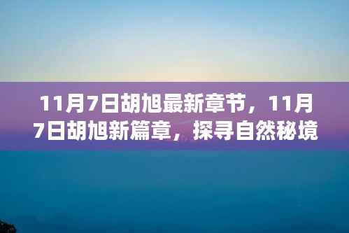 探寻自然秘境，胡旭最新篇章，重拾内心的宁静与平和（11月7日最新更新）