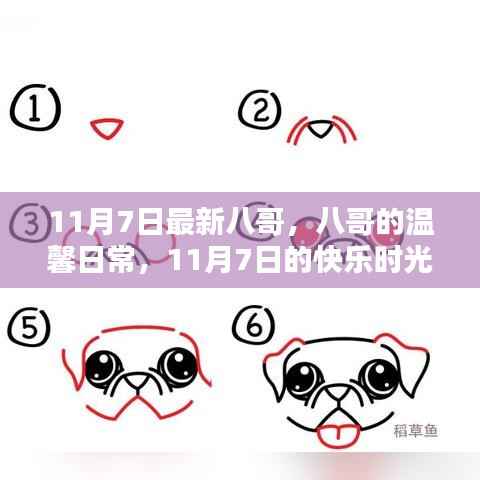 八哥的温馨日常,记录快乐时光,11月7日的快乐八哥纪实