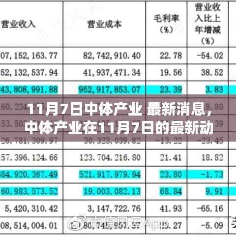 中体产业最新动态聚焦解析，11月7日深度解读要点消息