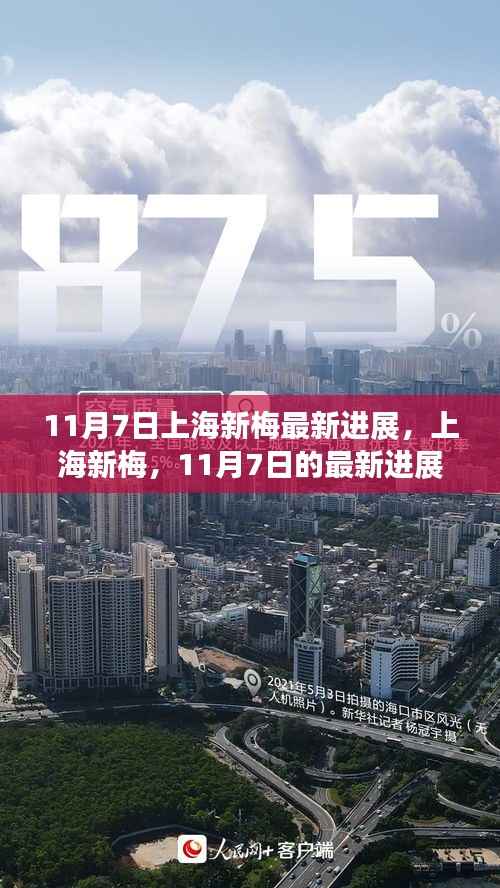 上海新梅最新进展揭秘,深远影响与动态分析(11月7日更新)