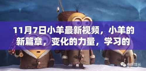 小羊新篇章启示录,变化的力量与学习的魅力——11月7日视频解析