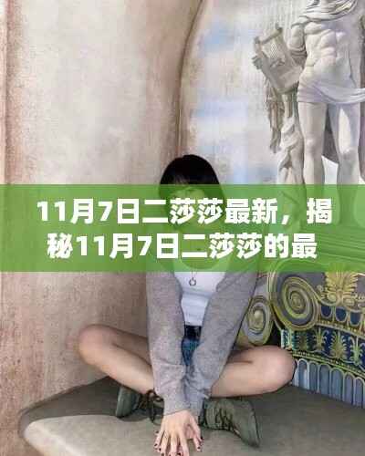 揭秘二莎莎最新动态与魅力风采,11月7日更新速递