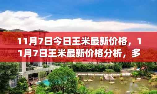11月7日王米最新价格走势，多方观点交织的思考与分析