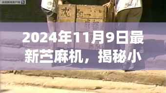 揭秘隐藏小巷深处的宝藏,独特小店与最新苎麻机展映织梦之地