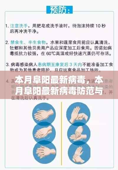 本月阜阳最新病毒防范指南,应对与预防病毒的有效步骤