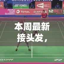 本周最新接头发教程,初学者也能轻松上手的详细步骤指南