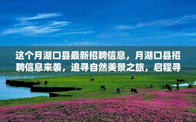 月湖口县最新招聘信息发布,追寻自然美景之旅,宁静港湾的职场启程