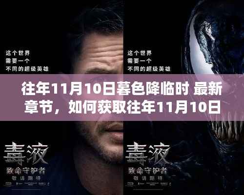 往年11月10日暮色降临时最新章节获取指南与详细步骤