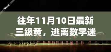 十一月十日美景之旅,逃离数字迷雾,心灵洗涤与大自然的共舞