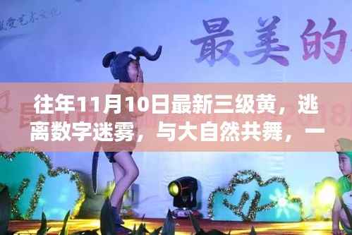 十一月十日美景之旅,逃离数字迷雾,心灵洗涤与大自然的共舞