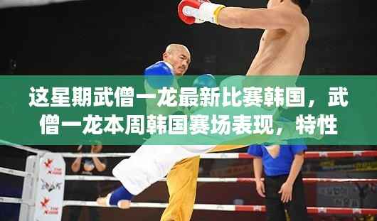 武僧一龙韩国赛场表现大解析,特性、体验、竞品对比及用户群体深度探讨