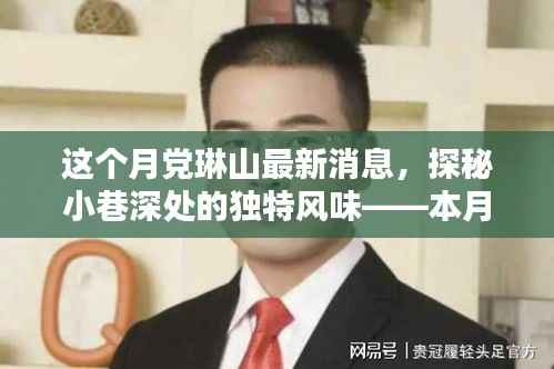 党琳山最新消息揭秘,小巷深处的独特风味美食店——隐藏版特色小店探秘之旅