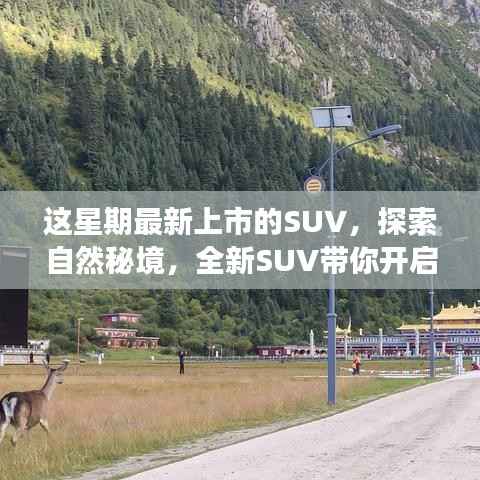全新上市SUV,带你探索自然秘境的心灵之旅