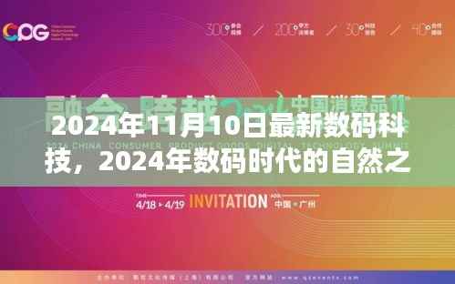 探索美景与内心平静,数码时代自然之旅的启示