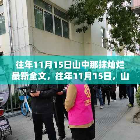 往年11月15日山中那一抹灿烂,心灵与自然的邂逅之旅