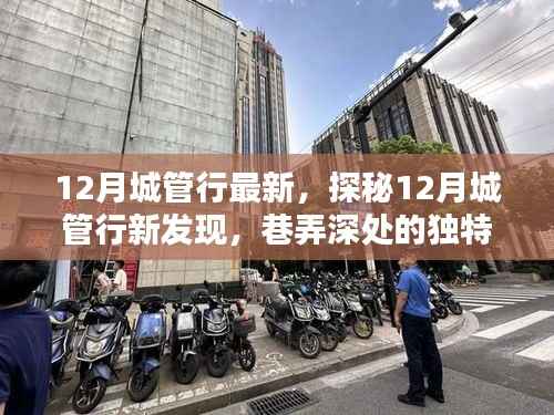 探秘十二月城管行,巷弄深处的独特小店,隐藏版美味大揭秘!