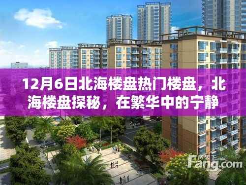 神采奕奕 第4页