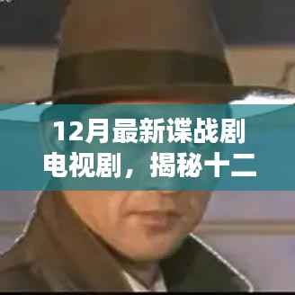 十二月最新谍战剧电视剧深度解析与探讨，剧情揭秘与探讨