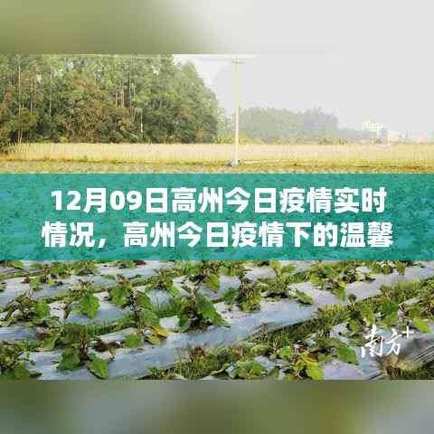 高州疫情实时更新,温馨日常中的友情、家庭与爱的力量