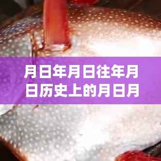 探索月亮背后的故事,追寻历史与内心的宁静之旅,小爱同学带你领略无实时字幕的探秘体验