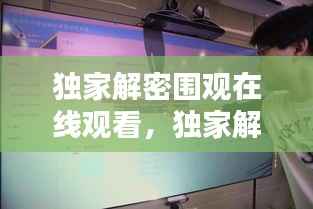 独家解密围观在线观看,独家解析
