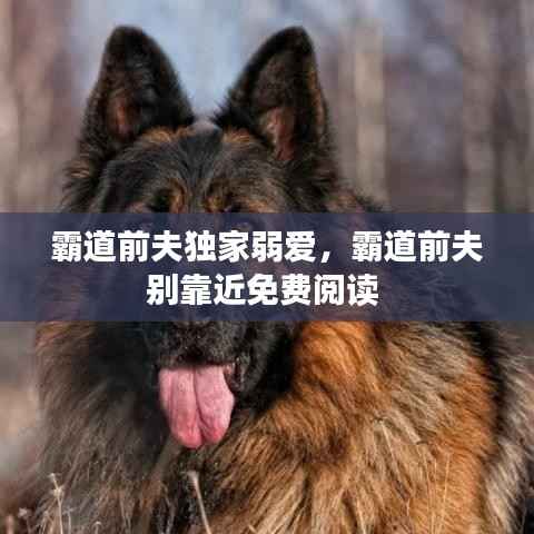 骈首就僇 第2页