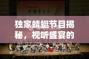 独家蜻蜓节目揭秘,视听盛宴的独特魅力
