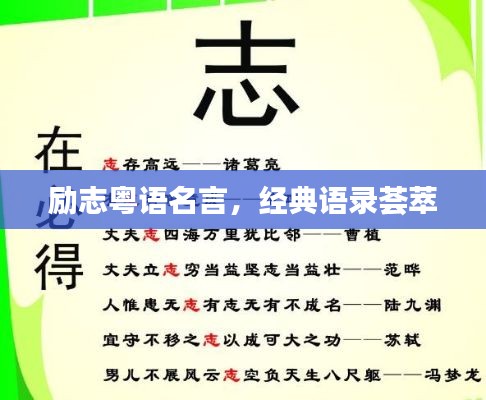 勤学苦练