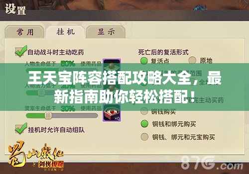 王天宝阵容搭配攻略大全,最新指南助你轻松搭配!