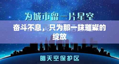 奋斗不息,只为那一抹璀璨的绽放