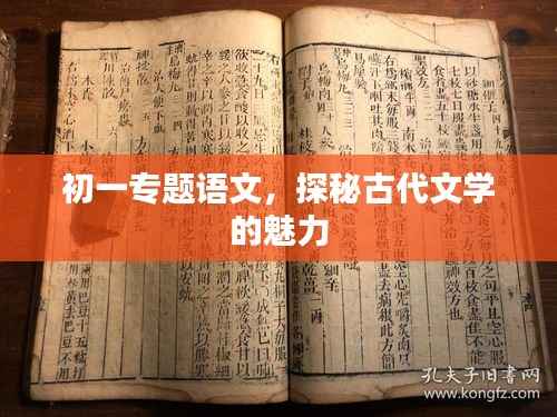 初一专题语文,探秘古代文学的魅力