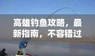 高雄钓鱼攻略,最新指南,不容错过