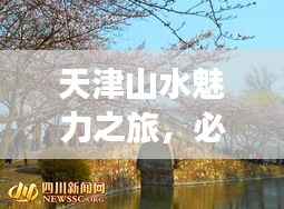 虫蚀鸟步