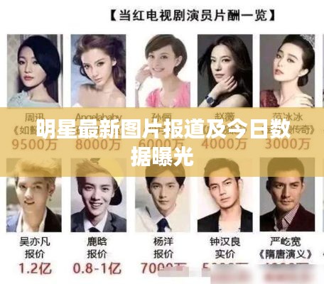 明星最新图片报道及今日数据曝光