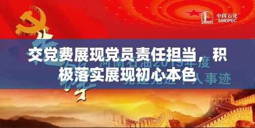 交党费展现党员责任担当，积极落实展现初心本色