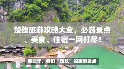 龙飞九五