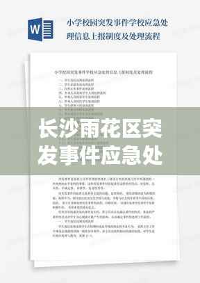 长沙雨花区突发事件应急处理与应对策略揭秘