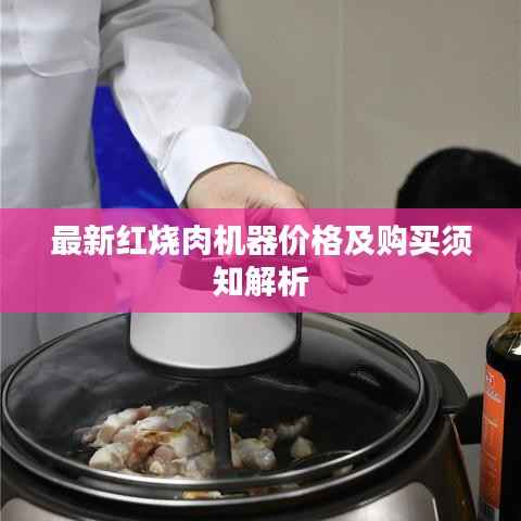 最新红烧肉机器价格及购买须知解析